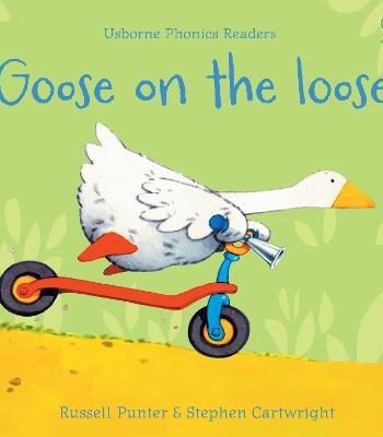 [9781474970181] GOOSE ON THE LOOSE