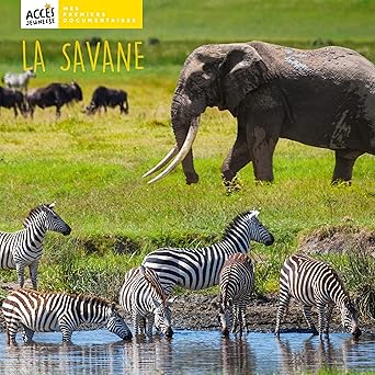 [9782383210054] LA SAVANE     NEW